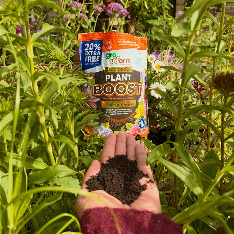 A handful of Gro Worm organic worm casts