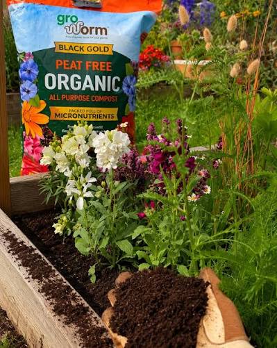 A bag of Gro Worm Black Gold peat-free organic compost in a flower-filled raised bed, with a handful of dark, crumbly worm castings held in the foreground