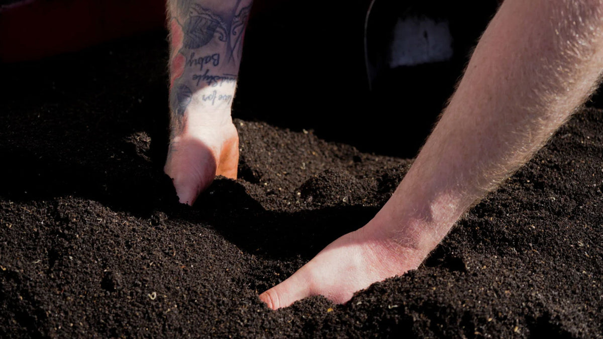 A hand reaching into dark, rich garden soil
