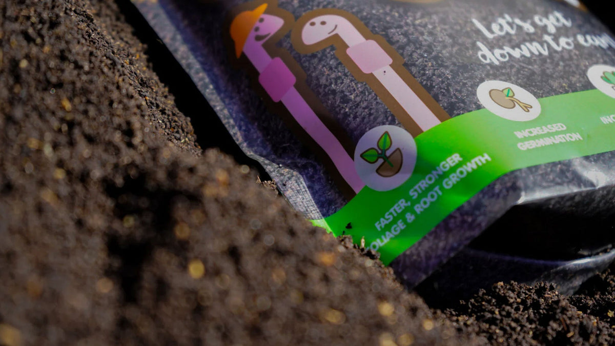 A green Gro Worm worm cast pouch resting on dark garden soil