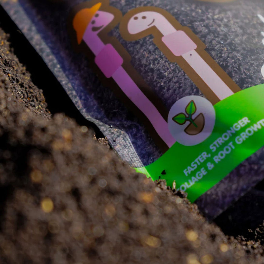 The Ultimate Soil Amendment - Gro Worm Worm Casts