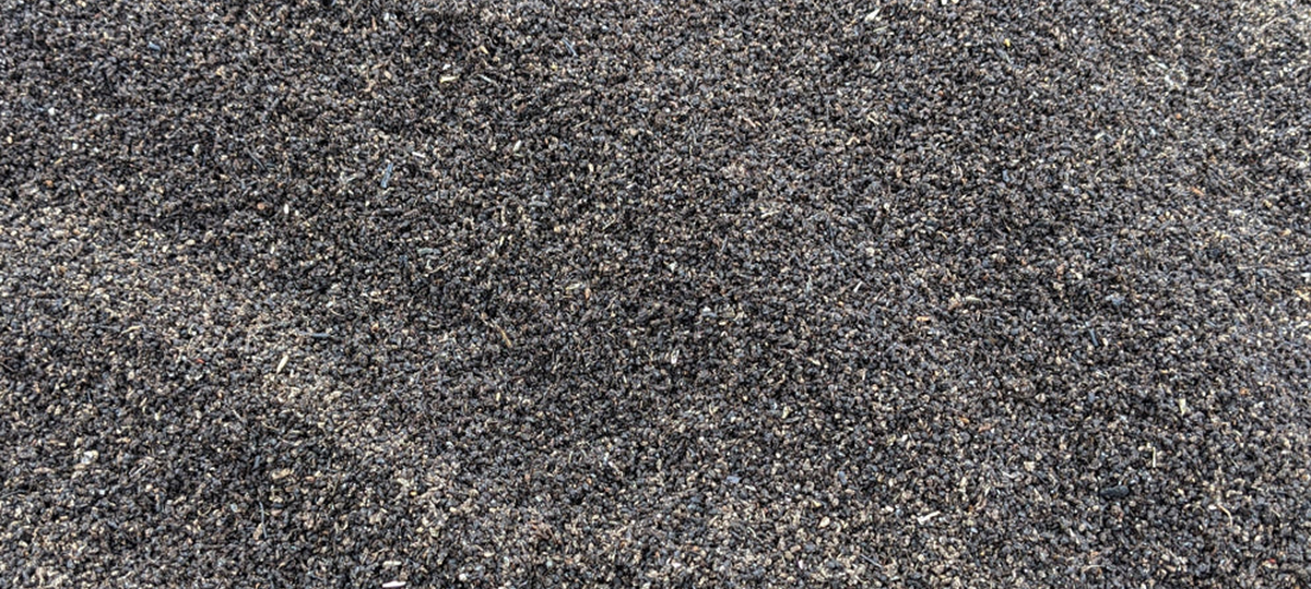 Is Peat-Free Compost Any Good? What Really Makes the Difference