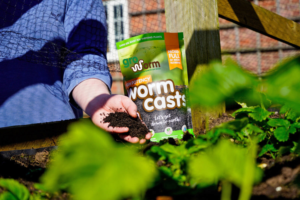 Hands holding a Gro Worm worm casts pouch among green plants in a garden