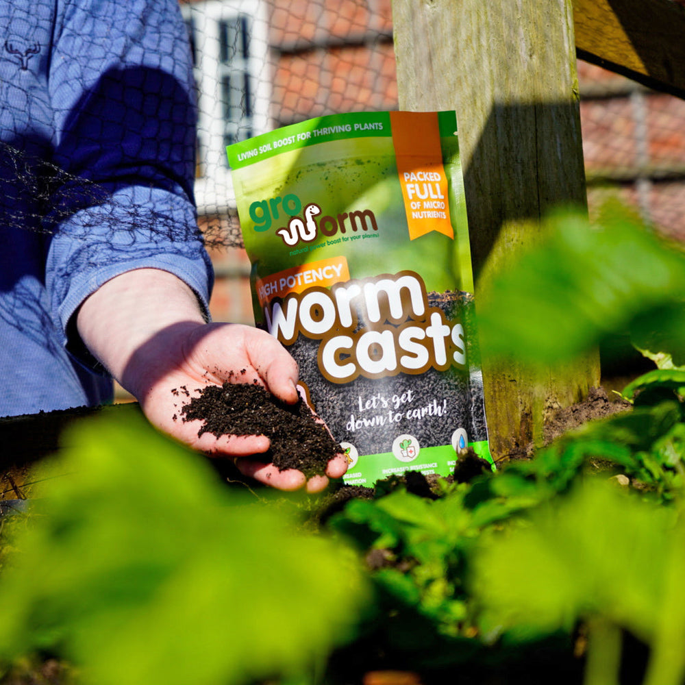 How can I use Worm Casts in my garden?