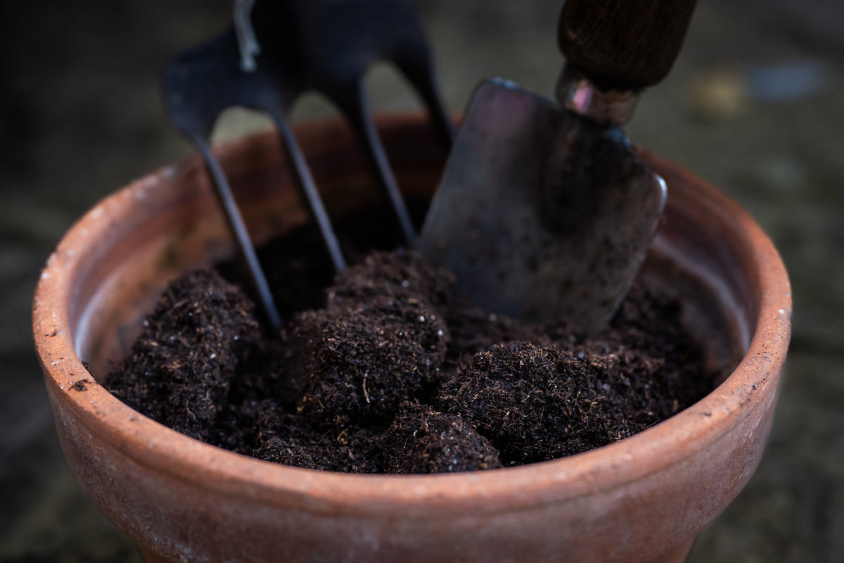 A hand fork digging into a terracotta pot filled with dark compost