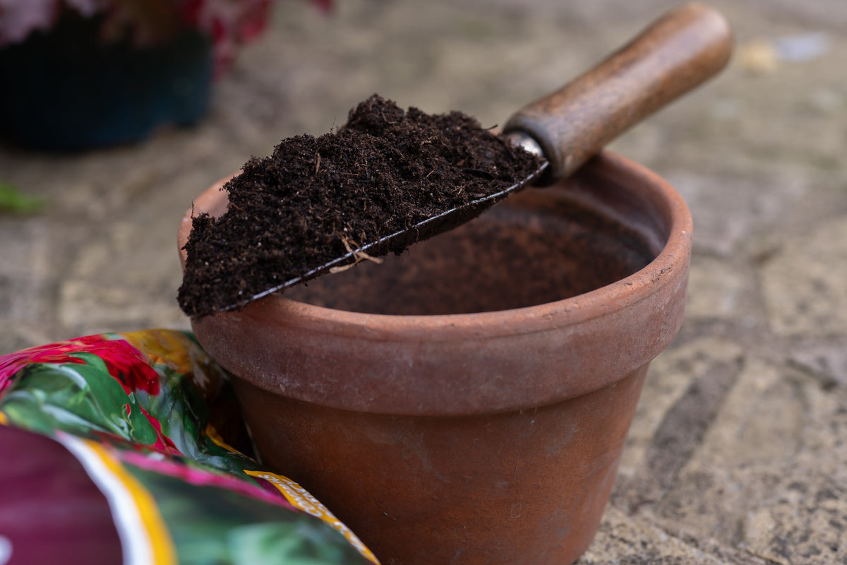 A terracotta plant pot with a trowel of dark compost resting beside it