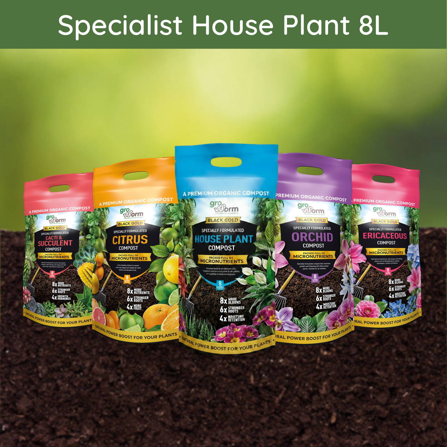 Specialist House Plant 8 Litres