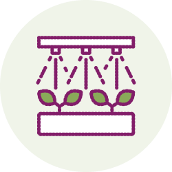 Increased germination