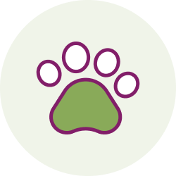 Pet and child friendly