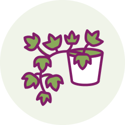 Faster, stronger foliage and root growth