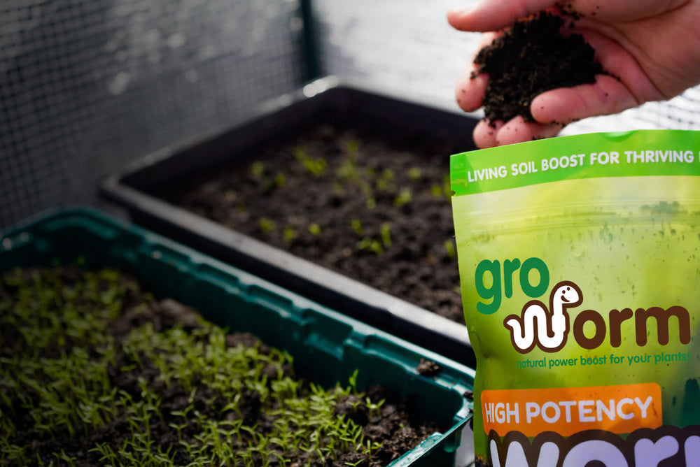 Gro Worm Worm Casts 2.5 Litre Pouch