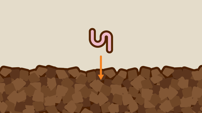 Gro Worm
