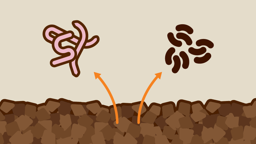 Gro Worm