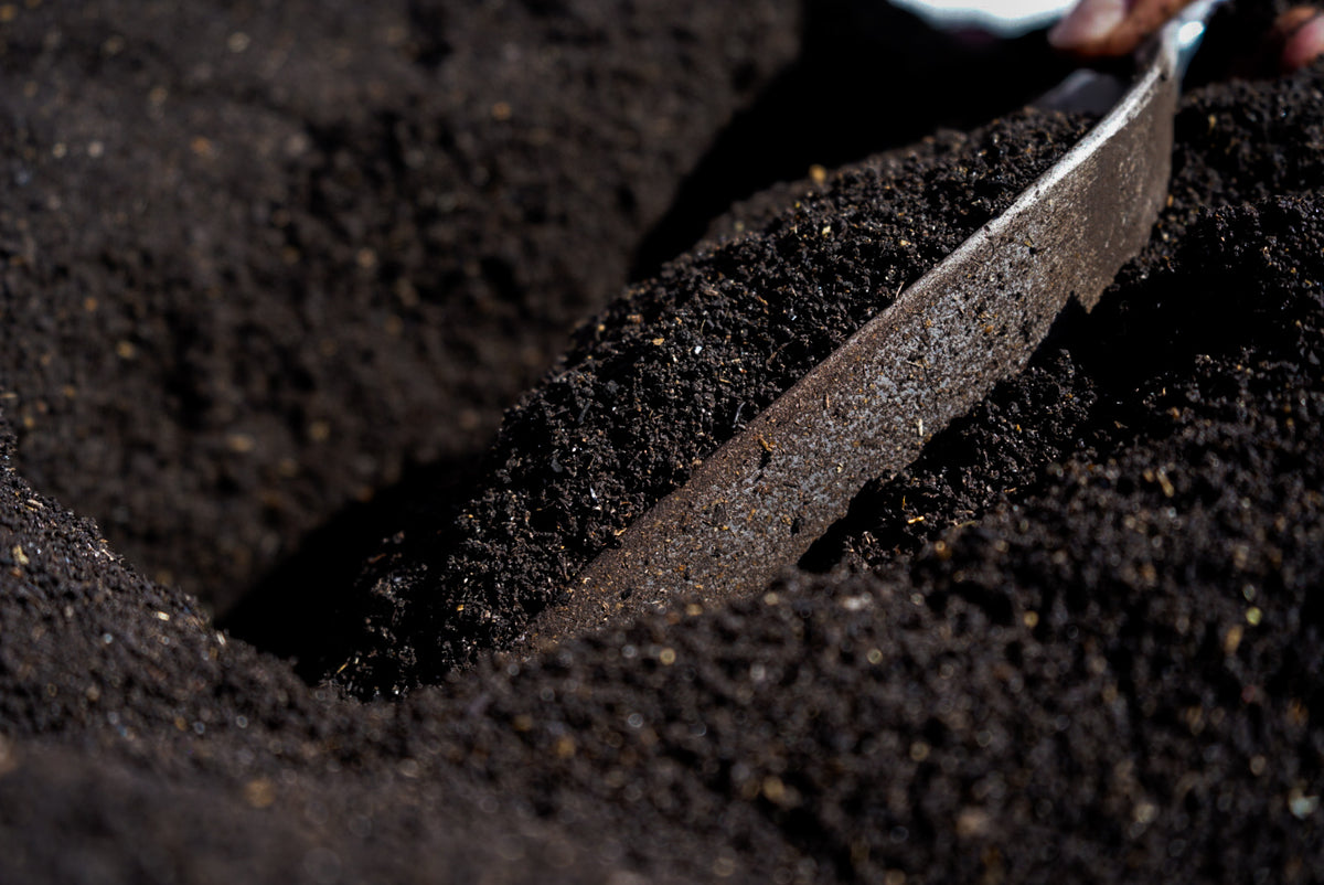 Close-up of a trowel scooping Gro Worm pure worm casts, rich dark organic soil