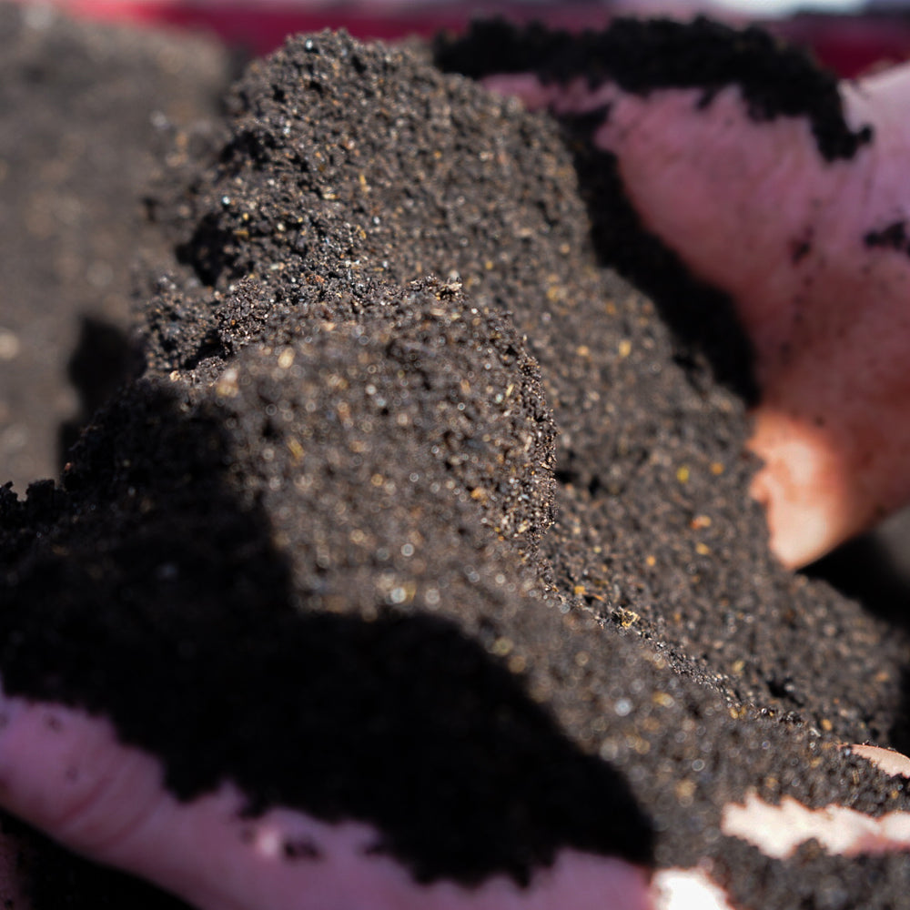 
                      
                        Gro Worm Organic Worm Blend Compost Mix 900L Bulk Bag
                      
                    