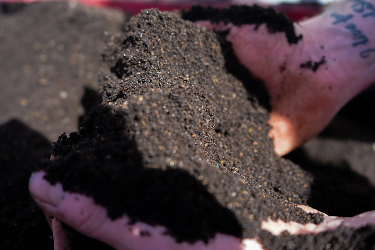 Hands holding Gro Worm Organic Worm Blend compost, showing its rich dark texture