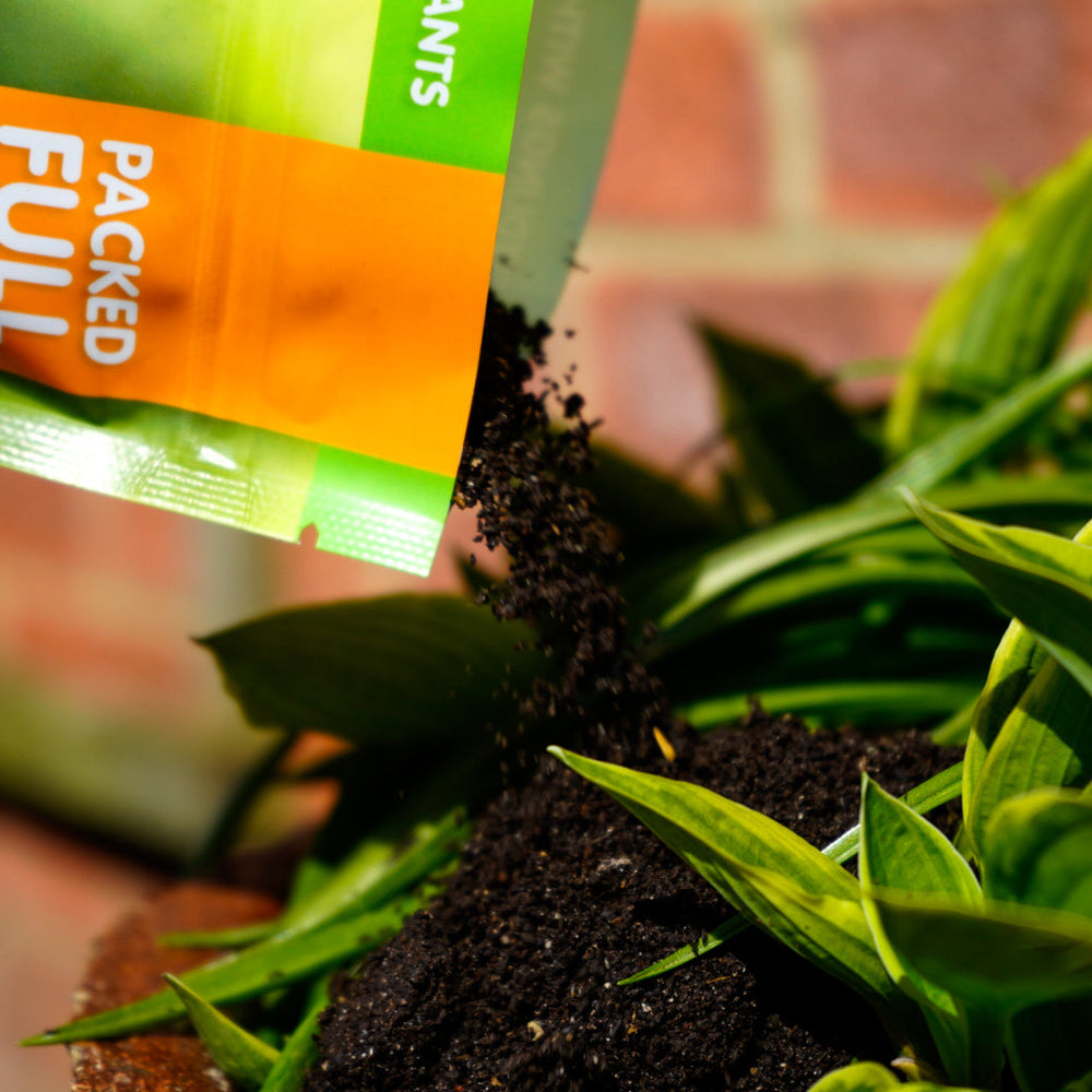 
                      
                        Gro Worm Worm Casts 5 Litre Carry Bag
                      
                    